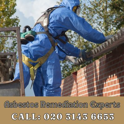 Asbestos Remediation Experts Kingswood