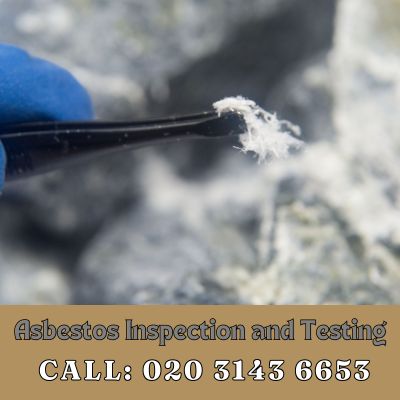 Comprehensive Asbestos Inspection and Testing Services in Kingswood